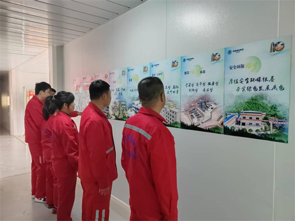 立异宣传载体，，，，，拓展撒播矩阵.png